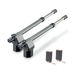 Kit de Pistones Erreka Ares