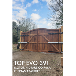 MOTOR GIBIDI TOP EVO 391
